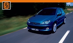 ECU Remap - Chiptuning Peugeot  206